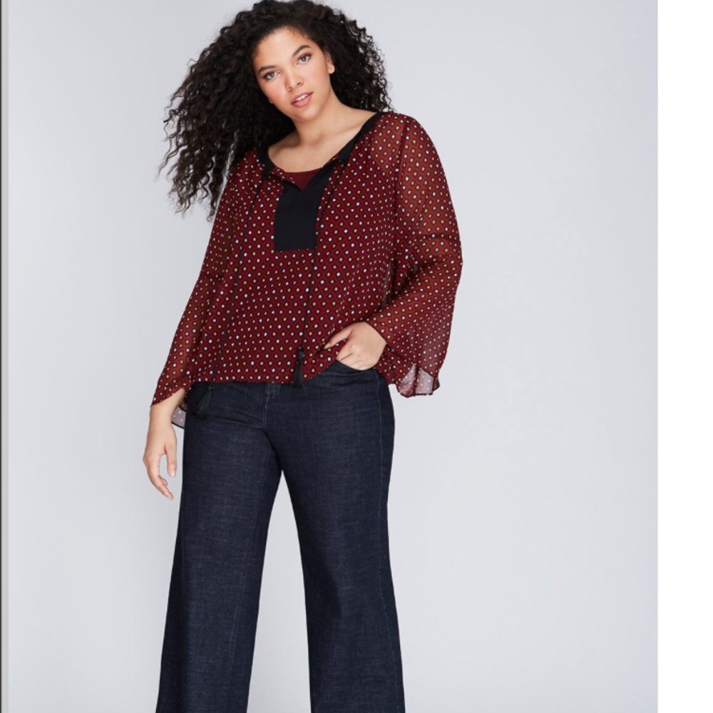 Sheer Lane Bryant blouse